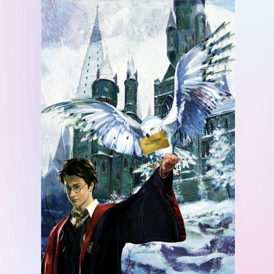 Harry Potter and Hedwig Diamond Painting Kits 20% Off Today – DIY Diamond  Paintings