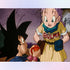 Dragon Ball Friendship Diamond Painting