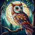 abstract-owl-diamond-painting-art-kit
