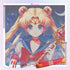 dovelike-sailor-moon-diamond-painting-art-kit