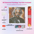 gracious-einstein-diamond-painting-art-kit