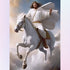 jesus-riding-white-horse-diamond-painting-art-kit