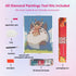 jumping-with-totoro-diamond-painting-art-kit