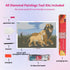 lion-king-pride-and-joy-diamond-painting-art-kit