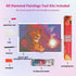 lion-king-sunset-diamond-painting-art-kit