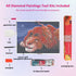 lion-king-under-the-stars-diamond-painting-art-kit