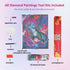 mega-charizard-diamond-painting-art-kit