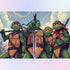 ninja-turtles-cowabunga-dude-diamond-painting-art-kit