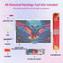 owl-spread-the-wings-diamond-painting-art-kit