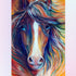 Horse with Flowing Colorful Mane