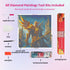 paladin-world-of-warcraft-diamond-painting-art-kit