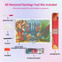 pokemon-generation-iii-diamond-painting-art-kit