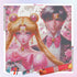 romantic-tuxedo mask-and-sailor-moon-diamond-painting-art-kit