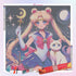 sailor-moon-with-luna-diamond-painting-art-kit