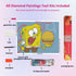 spongebob-hamburger-diamond-painting-art-kit