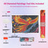 vibrant-phoenix-diamond-painting-art-kit