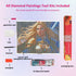 warcraft-lady-knight-diamond-painting-art-kit