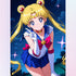 yeah-sailor-moon-diamond-painting-art-kit