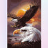 Well-Trained Eagle Diamond Painting