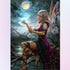 Butterfly Fairy Performing Magic Diamond Painting