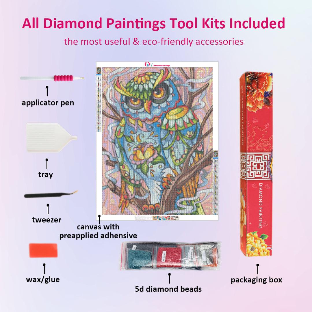 Beautiful Colorful Owl Diamond Painting