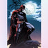 Batman at High Altitude Nearing the Moon Diamond Painting