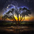 Magical Tree Absorbing the Power of Starlight Diamond Painting