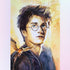 Harry Potter by Olesia Panaseiko Diamond Painting