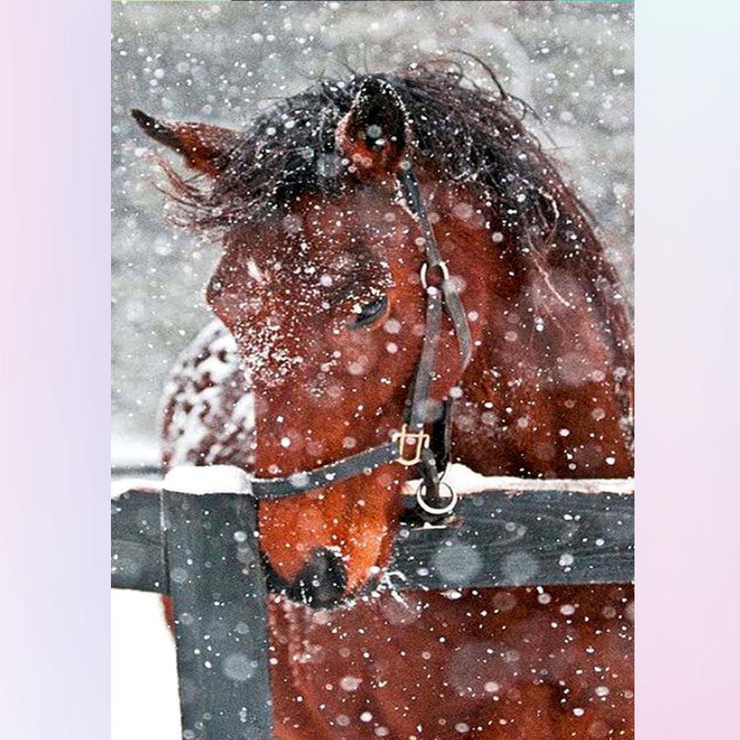 Horse in the Snow Diamond Painting