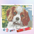 Dog Diamond Painting