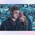 Harry & Hermione in the Cold Winter Diamond Painting