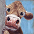 Cow with A Little Shy Diamond Painting