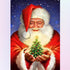 Santa Claus with Small Christmas Tree on Hand Diamond Painting