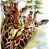 Giraffe Spring Breeze Diamond Painting