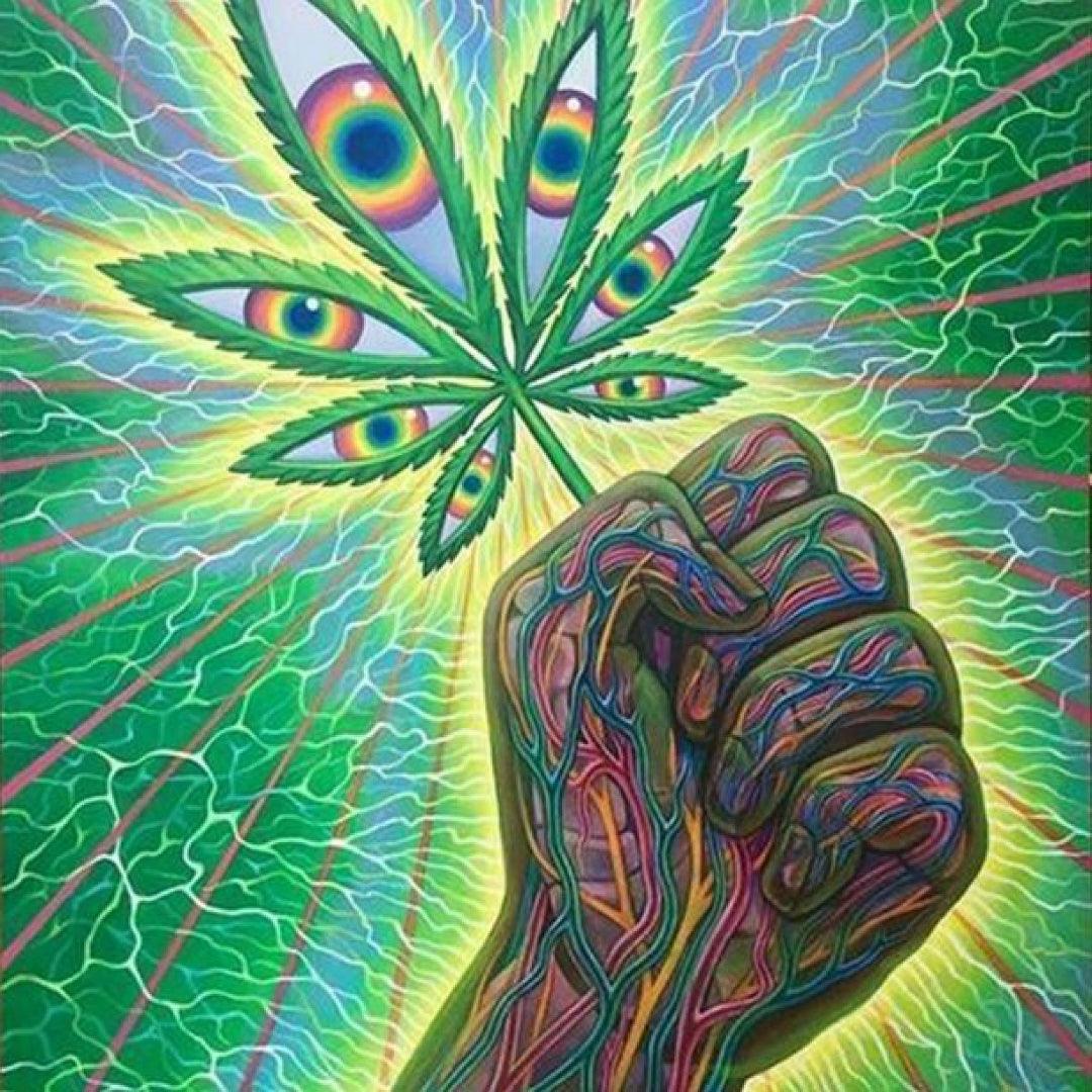 Graffiti Hand Tropical Leaf Eyes Diamond Painting