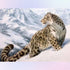 Leopard in the Snow Mountain Diamond Painting