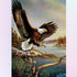 Eagle Flying Across the River Diamond Painting
