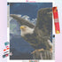 Eagle About to Fly Diamond Painting