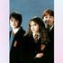 Good Friends Harry Ron Hermione Diamond Painting