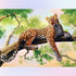 Leopard on the Tree Diamond Painting