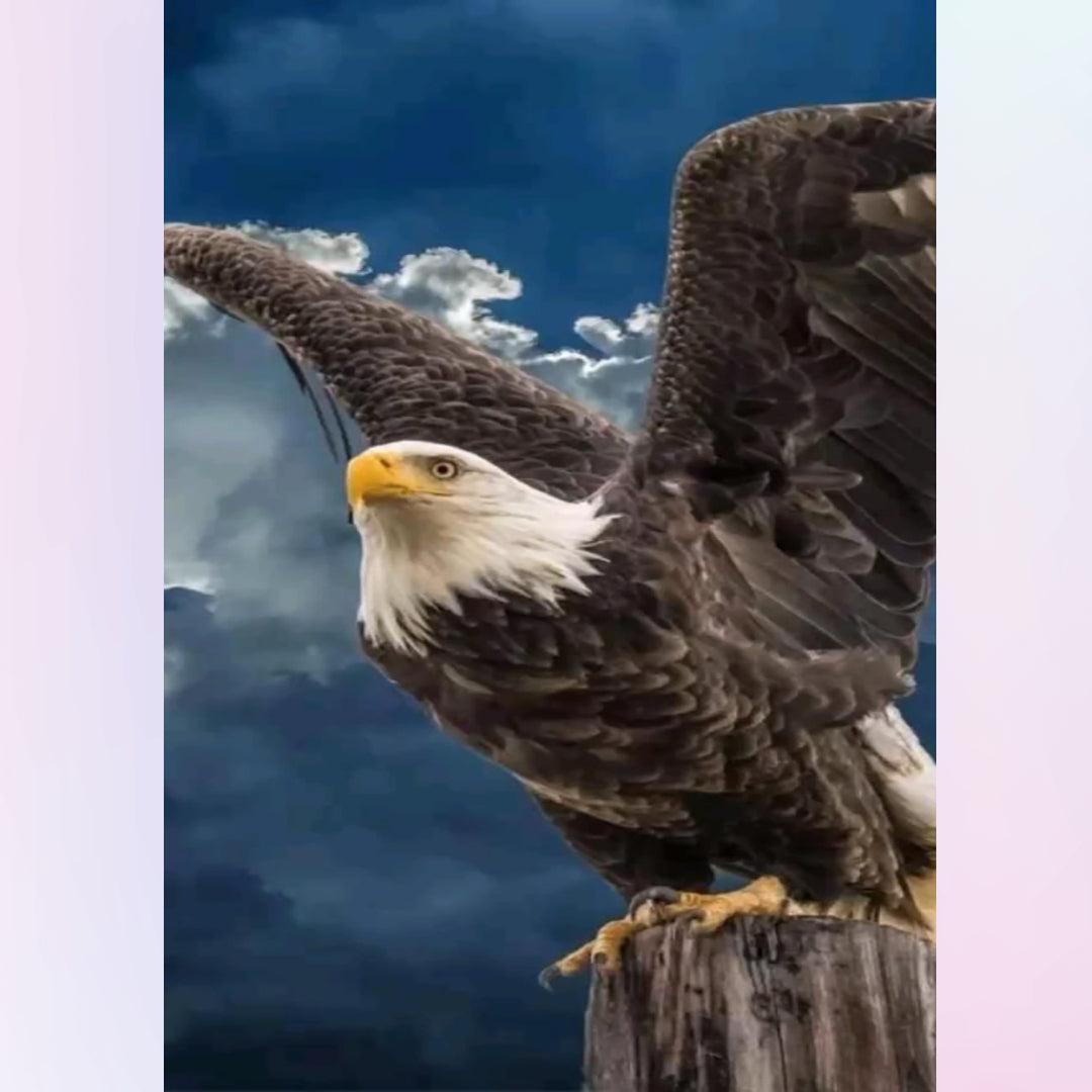 Eagle About to Fly Diamond Painting