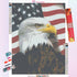 American Eagle Diamond Painting