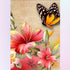 Flower Hippeastrum Striatum & Butterfly Diamond Painting