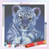 The Cute Tiger Diamond Painting