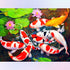 Carps Frolicking Diamond Painting