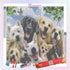 Dogs Group Diamond Painting