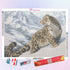 Leopard in the Snow Mountain Diamond Painting