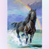 Black Horse Running by the Rainbow Beach Diamond Painting