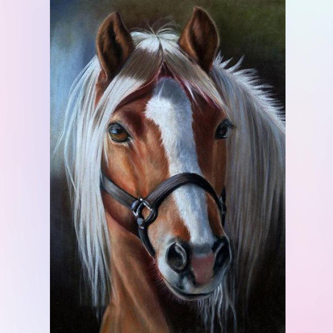 Handsome Horse Diamond Painting