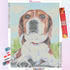 Dog in the Sunshine Diamond Painting